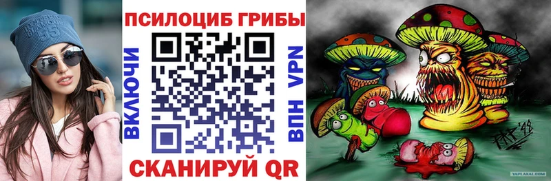 продажа наркотиков Нальчик Галлюциногенные грибы GOLDEN TEACHER