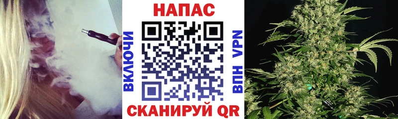 закладка  MEGA зеркало  Канабис конопля  Нальчик 